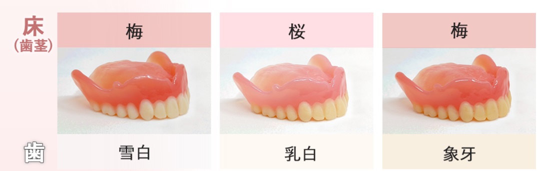 選択できる歯茎と歯の組み合わせ　出展：お守り入れ歯社